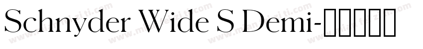 Schnyder Wide S Demi字体转换